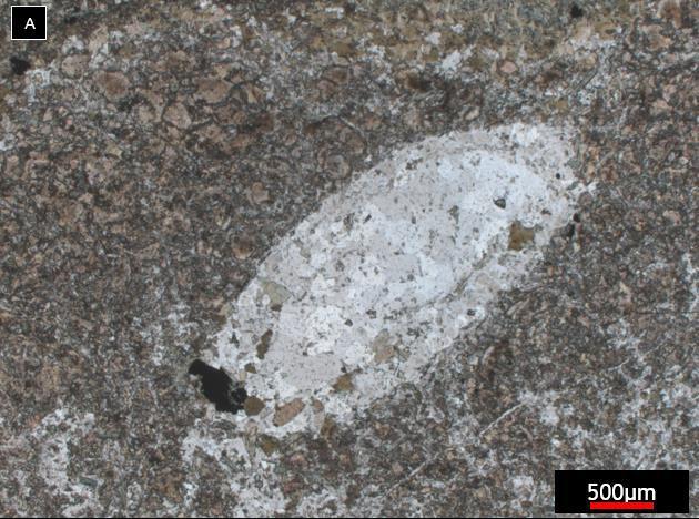 disposta em fragmentos líticos em algumas amostras desta rocha
