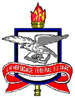 1 SERVIÇO PÚBLICO FEDERAL UNIVERSIDADE FEDERAL DO PARÁ CONSELHO SUPERIOR DE ENSINO, PESQUISA E EXTENSÃO RESOLUÇÃO N. 4.