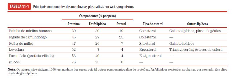 Lipídeos de