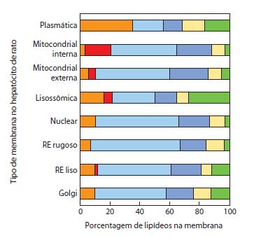 Diversidade