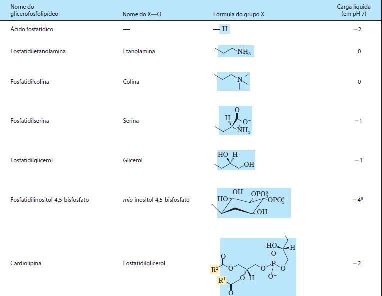 fosfodiéster substituintes