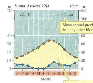 Habitat: Deserto Tamanho: 44cm Peso: 400g Come ervas e gramas, ou folhas na escassez N = 20