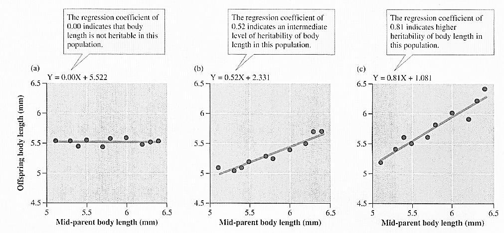 O coeficiente é 0 e indica que não há hereditariedade O coeficiente é médio e indica nível