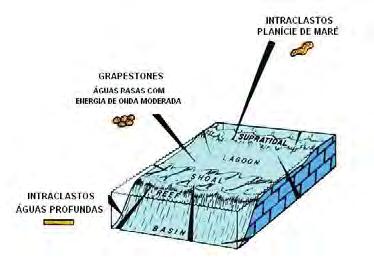 por regimes dominados por ondas e marés que retrabalham continuamente os carbonatos (FLÜGEL, 2004).