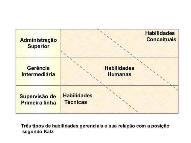 Administração, habilidades e papéis do gerente Sociedade