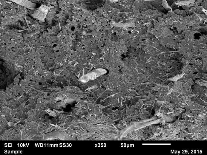 Figura 41 Micrografias de MEV da superfície de fratura do composto NBR/5K.