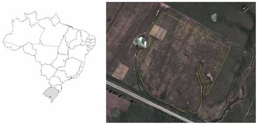 variação espacial dos dados sobre a área de estudo.