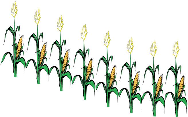 Conceito: balanço de nutrientes çã ê,, çã Gases: VOC, CO 2, CH 4, N 2 O, NH 3, H 2 S,.