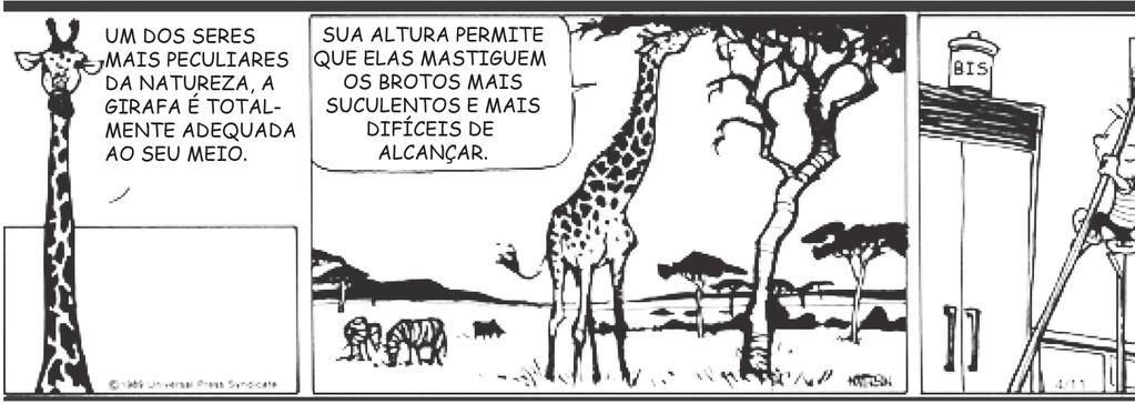 Leia o texto abaixo. Carlos Souto Pena Filho nasceu em 17 de maio de 1929, no Recife-PE, onde faleceu em 11 de julho de 1960.