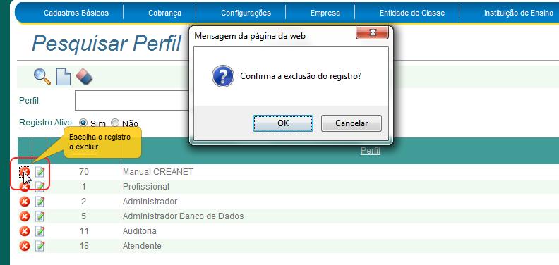 Caso haja alguma informação que não condiz com as regras da tela, uma mensagem aparecerá, informando onde se encontra o erro.