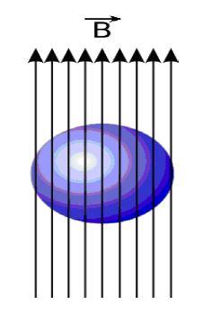 (a) (b) Figura. - Efeito Meissner na transição da temperatura crítica. (a) Temperatura do supercondutor acima da temperatura crítica; (b) Supercondutor resfriado abaixo de sua temperatura crítica.