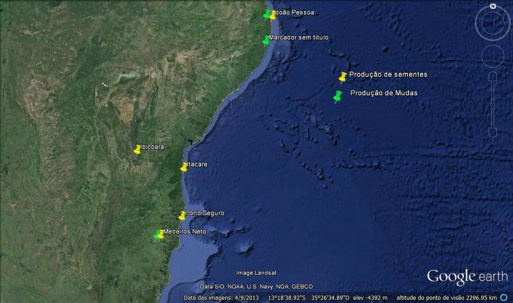 Bahia relacionado a silvicultura de eucalipto; Mapeou