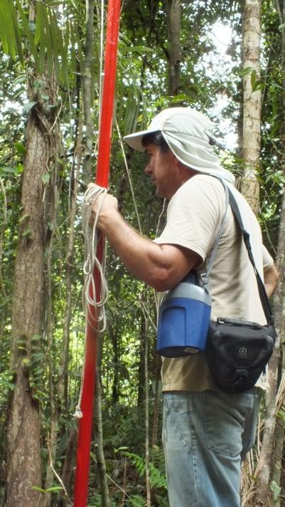 capacitação de coletores e