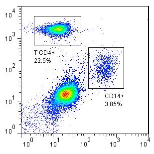 de ativação das mesmas. Essas células foram selecionadas a partir de uma janela de tamanho e granulosidade (Figura 17A), da qual foram separadas as populações de CD14+ e CD4+ (Figura 17B).