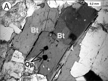 (B) Cristal de biotita (Bt) já com forte cloritização (Cl) ao longo dos seus planos de clivagens. secundárias (Fig. 3A), fato este que corrobora os aspectos microtexturais anteriormente referidos.