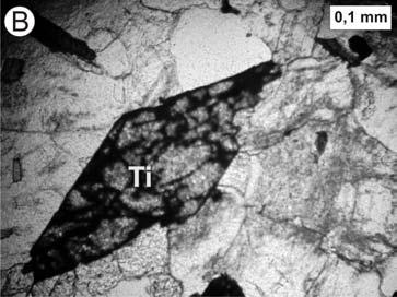 composição granítica. Nos diferentes leucomicrogranitos aqui estudados, titanita está presente e mostra características petrográficas similares.