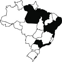 Atlas Iconográfico dos Triatomíneos - 35 Triatoma pseudomaculata Corrêa & Espínola, 1964 Triatoma rubrofasciata (De Geer, 1773) Triatoma rubrovaria (Blanchard, 1843) Diagnose: cabeça no máximo com