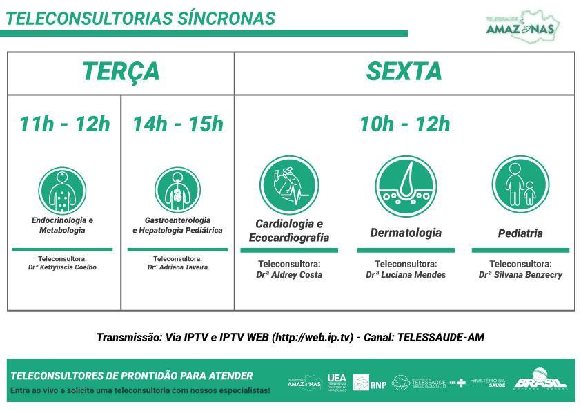 ANEXO 1 QUADRO DE TELECONSULTORIA