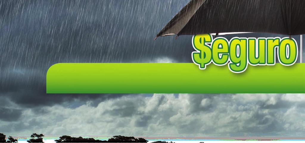 Nem tanto pelo valor do seguro, mas pela baixa cobertura que ele me dá, disse em entrevista à Hortifruti Brasil. Com o subsídio do governo para o pagamento do seguro, ele gastou R$ 1.