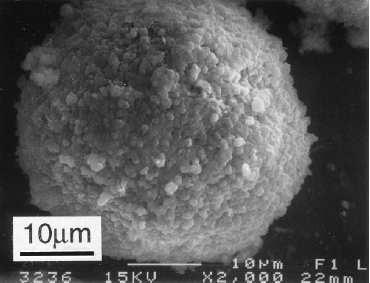 44 Por outro lado, partículas de sílica ativa podem agir como ponto de nucleação acelerando as reações de hidratação do Cimento Portland (MITCHELL et al., 1998).