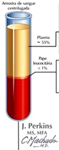 Células do Sangue Plasma 55% Camada leucocitária <1% Composição do plasma 92% água 7% proteínas plasmáticas: albumina,