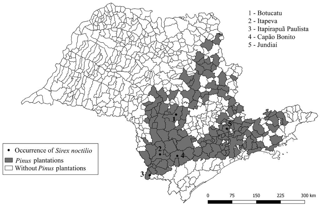 Detection of pine woodwasp in Pinus taeda in São Paulo State, Brazil. 3 Figure 2 - Occurrence of Sirex noctilio in São Paulo State. this study was to report a new area of occurrence of S.