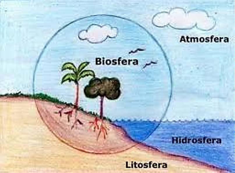 QUESTÃO 1 Leia a imagem abaixo. Ela representa os ambientes do nosso planeta. www.geografia.seed.pr.gov.