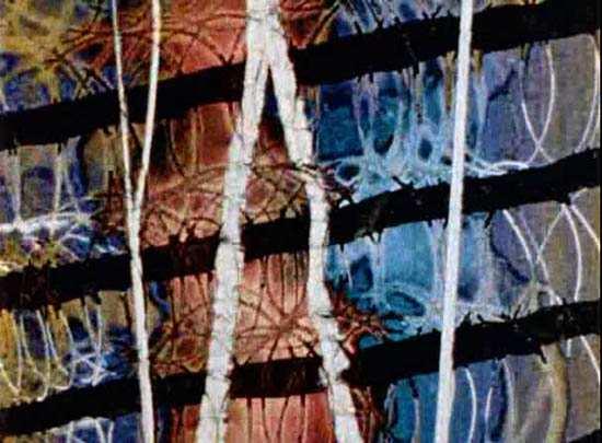 Artistas & pintores no cinema: três exemplos Sonho de Salvador Dali para