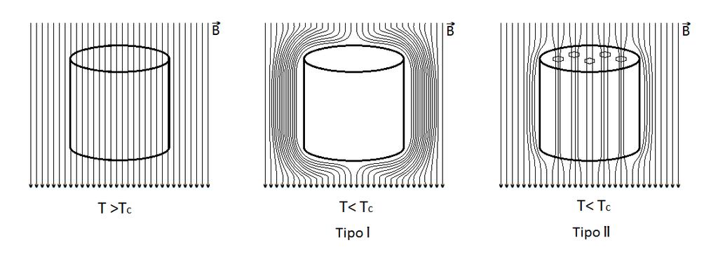 cilíndricas micrométricas do material não transitam para o estado supercondutor, os vórtices ou fluxóides.