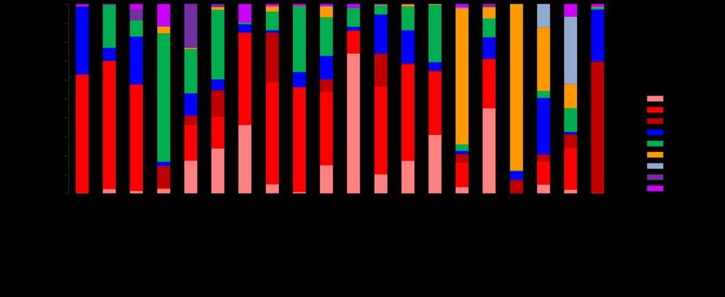 Os Genótipos A grande variabilidade de sequências de nucleótidos permite identificar 11 genótipos e múltiplos subtipos que apresentam variação geográfica e estão relacionados com o modo de