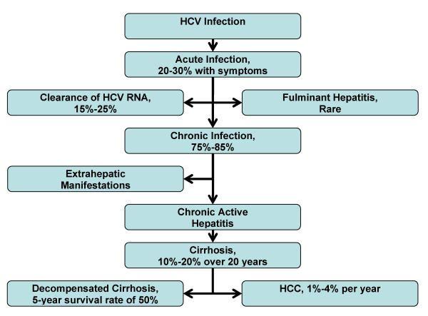 História Natural e consequências para a saúde pública A infeção pelo VHC é a principal causa de hepatite crónica, cirrose e CHC.