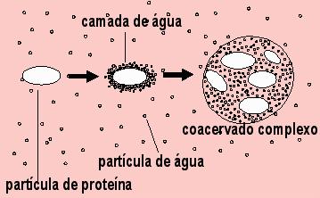 Origem da Vida Teoria da