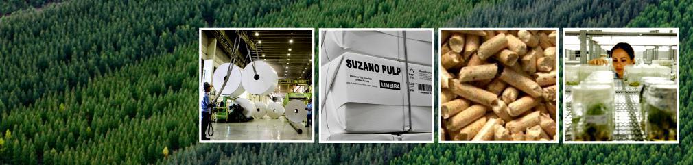 Estratégia da Suzano Plano Suzano 2024 A competitividade florestal consolida o negócio de celulose e abre caminho para novas oportunidades de negócios em
