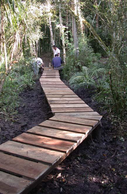 4 Relatório Temático do Projeto Parcelas Permanentes Parte X I 6 Figura 11.1.4.3 Passarela em área úmida na trilha de acesso à parcela permanente na EE dos Caetetús. 2.