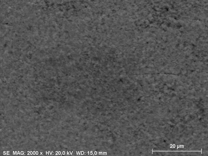 Figura 9 - Micrografia Eletrônica de Varredura das ligas Ti-6Al-4V após da implantação iônica por imersão em plasma.