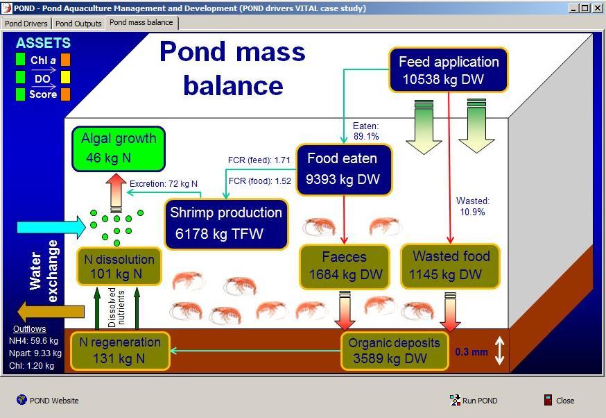 FORWARD Framework for Ria Formosa water quality, aquaculture, and resource development Figura 21.