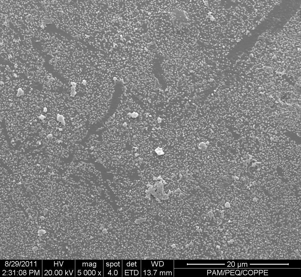 30: Micrografia do PMMA 10 obtida no MEV: uma partícula (a) e sua superfície (b).