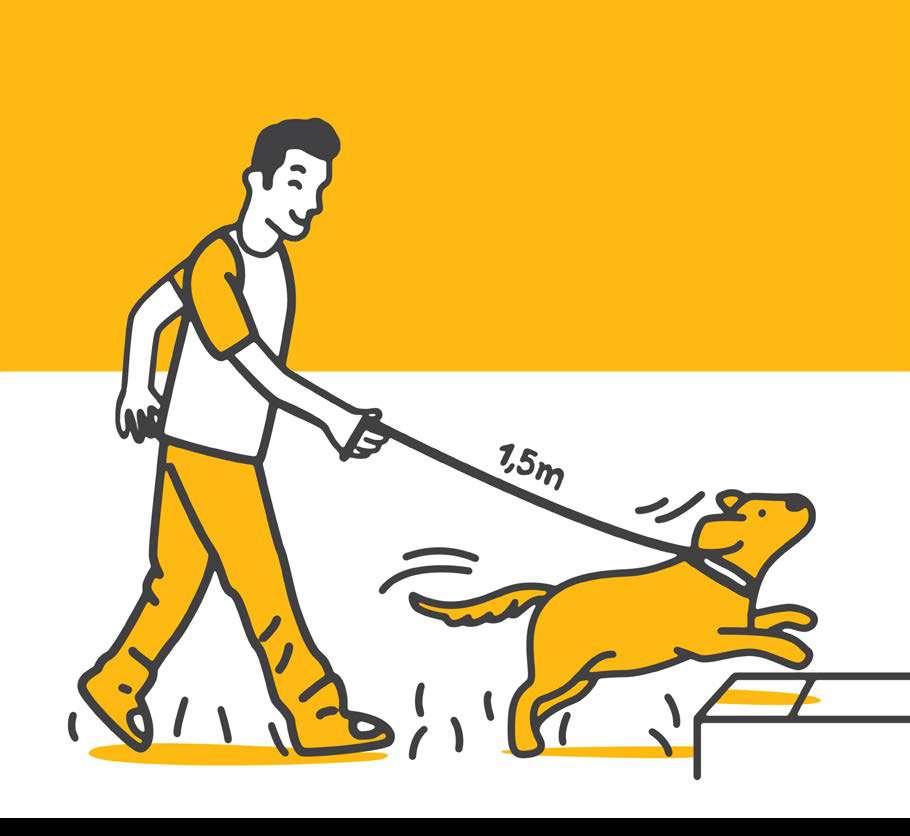 11 PASSEANDO NA RUA Uma guia curta obriga o cão a andar sempre ao lado do seu tutor. Isso dificulta a exploração do ambiente.