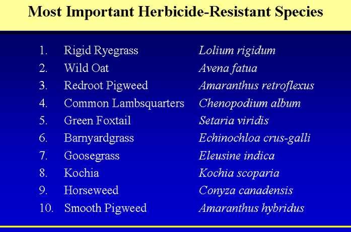A resistência múltipla ocorre quando um indivíduo possui um ou mais mecanismos de resistência distintos que conferem o comportamento resistente a herbicidas com mecanismo de ação diferenciados;