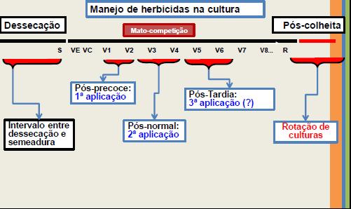 Fonte: Disciplina Controle de Plantas Daninhas- ESALQ, 2011