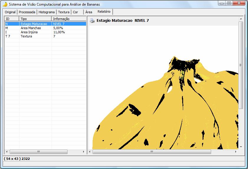 88 Figura 46 Tela do sistema com os resultados do processamento da imagem para gerar o relatório.
