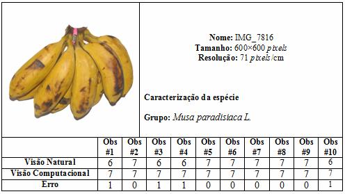 125 A tabela 20 apresenta classificação da banana IMG_7816 obtida pela visão natural e pela visão computacional.