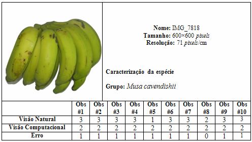 126 A tabela 22 apresenta classificação da banana IMG_7818 obtida pela visão natural e pela visão computacional.