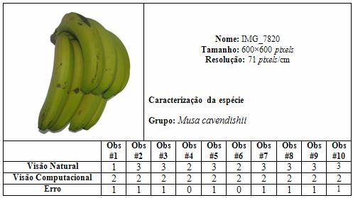 127 A tabela 24 apresenta classificação da banana IMG_7820 obtida pela visão natural e pela visão computacional.