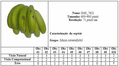 128 A tabela 26 apresenta classificação da banana IMG_7822 obtida pela visão natural e pela visão computacional.