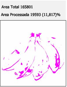 131 A Figura 90 ilustra a aplicação da obtenção do percentual de manchas marrons e injúrias em imagens de bananas.
