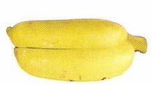 leves em banana: (a) Ausência de dedos, (b)