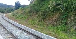 9 Sul de Minas Aspecto no km83 antes e após o serviço de limpeza Santa Catarina Várias melhorias serão feitas na locomotiva Mallet.