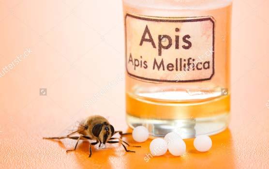 + APIS MELLIFICA As indicações terapêuticas correspondem aos alvos patogênicos do medicamento.