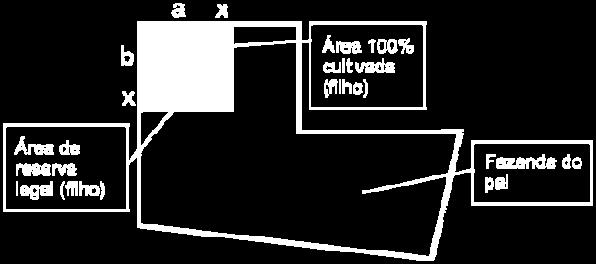 De acordo com a figura acima, o novo terreno do filho cumpre a lei, após acrescentar uma faixa de largura x metros contornando o terreno cultivado, que se destinará à reserva legal (filho).
